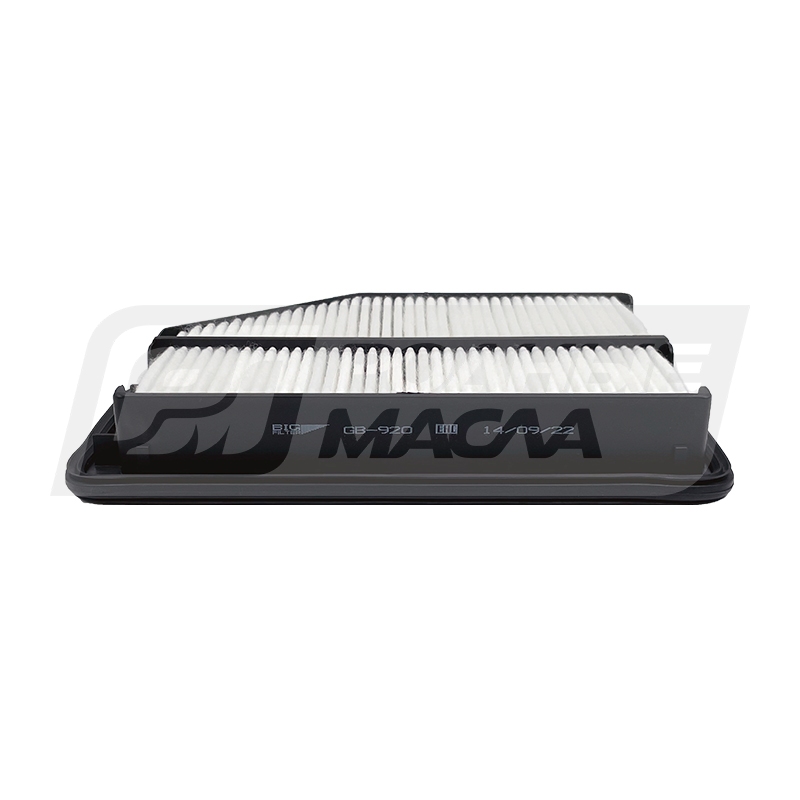 BIG FILTER GB-920 (C26021, LX3007, AP105/1, Honda 17220RZPG00) GB920